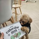 운동센터(GYM100) 이미지