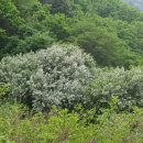 돌배마을협동조합 이미지