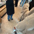 씨유안양산업센터점 | 스타벅스 베이비 마일로 콜라보 리유저블컵 평일 주말 후기 꿀팁