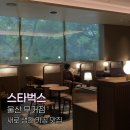 늘따뜻한카페 | 울산 무거동 스타벅스 울대 카페 카공 스터디 솔직후기 주차