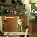 경향농장 이미지