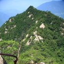 월송수퍼 이미지