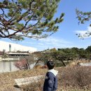 중앙-20 | &lt;국립 중앙 박물관&gt;, 언제 가도 멋있는 박물관 이용후기✿-20년 개관 기념 이벤트 후기(증정품 받기)!