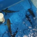 루아펜션 이미지