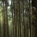 김정호한의원 이미지