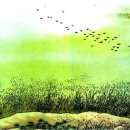 고원초등학교 이미지