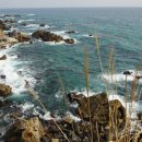 강릉 바다 공인중개사사무소 이미지