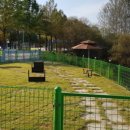 챔피언켄넬 이미지