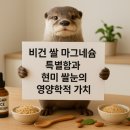 순천시 유용미생물 생산시설 | 비건 쌀 마그네슘의 특별함과 현미 쌀눈의 영양학적 가치