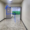 여울미나리 이미지