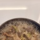 한솔프라자약국 이미지