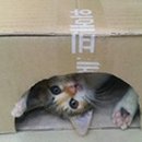 뉴월드 동물병원 이미지