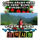 "울산청맥"경주 남산 송년산행& 정자 팔각정 자연산 회 송년행사 찬조방(2016년 12월4일.일요일) 이미지