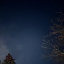 새해오름 | 한라산 새해 일출 후기 (윗세 오름 코스 및 주차)