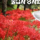 어방녹지대 네이버블로그