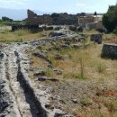 타우르스 이미지