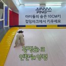 용종로 | 점핑파크 인천계양점│저렴한 가격에 만족도 최고 키즈카페 후기