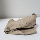 길주로444번길 | 무신사에서 구매한 잉카 스테이지 브러쉬 라이너 아이라인