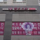 마곡나무