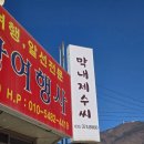 막내제수씨 | 영월 맛집 막내제수씨 들깨수제비와 닭만둣국, 계절 따라 또 가고 싶은 이유