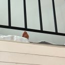 퀸스테이 이미지