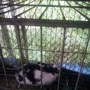 천왕농장 이미지