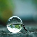 바람과 구름 이미지