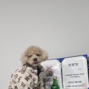 멍냥의민족노원하계점