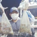 목감낚시 군산/29일 블랙펄3호 문어조황 좋아졌습니다 이미지