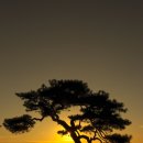 씨유예천신공항휴게소점 | 문경 봉천사 일출 사진 촬영 후기
