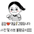 써니상사 이미지