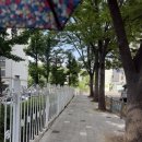 도당애견 이미지