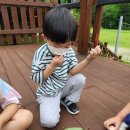 다목초병설유치원 이미지