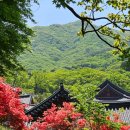 순천(순천) | 순천 송광사 방문 후기｜송광서 근처 맛집까지 총정리
