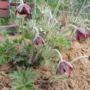 선민농장 이미지