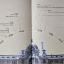 고둥 이미지