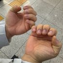 샤네일 티스토리