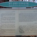 영주 신암리 마애여래삼존상 이미지