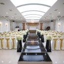 샹제리제 이미지