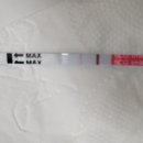 임신극초기 4주~5주 증상과 변화(hcg 피검사, 초음파)