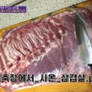 (유)일생
