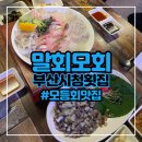부산 시청역맛집 연산동 모둠회횟집추천 말회모회