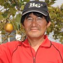 둔내목장 이미지