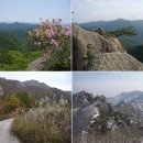 우크&기타 이미지