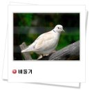 음암초등학교 이미지