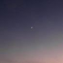 손톱,달 이미지