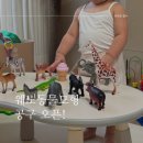 심쿵공구마트 | [공지] [공구] 웨노 동물모형 시리즈 58종 큼직해서 좋은 피규어 놀잇감
