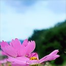 뚝길따라 이미지