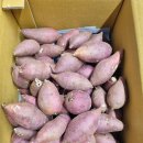 태기농장 | 태기네농장 해남고구마로 건강간식으로 탁월한 선택