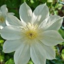 도천농장 이미지